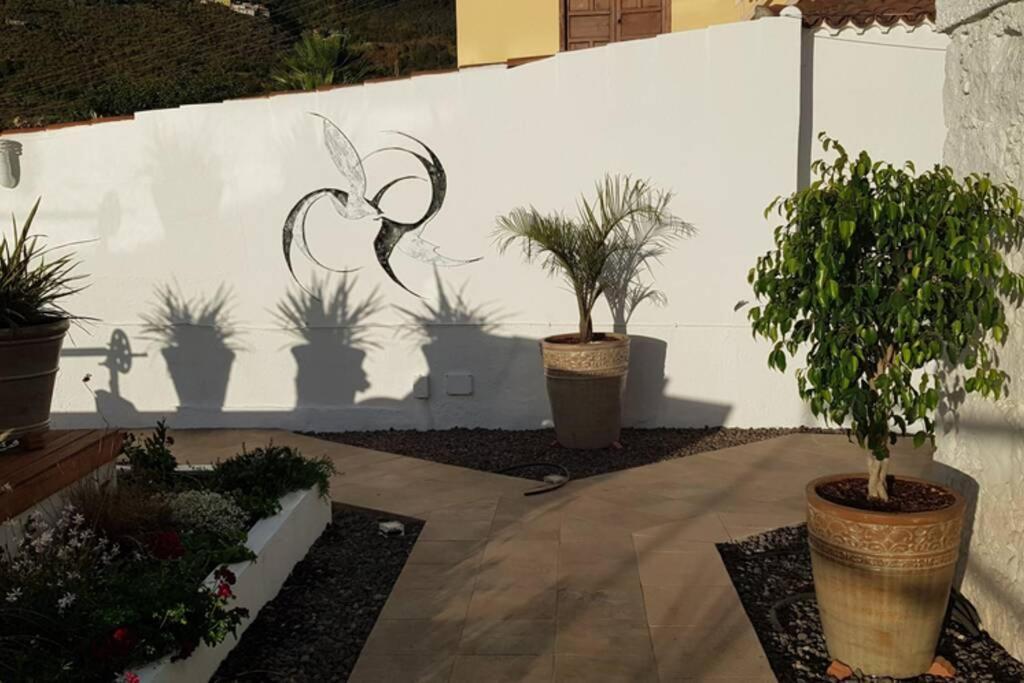 Casa Vina: A Spectacular Away From It All Holiday La Orotava Eksteriør bilde