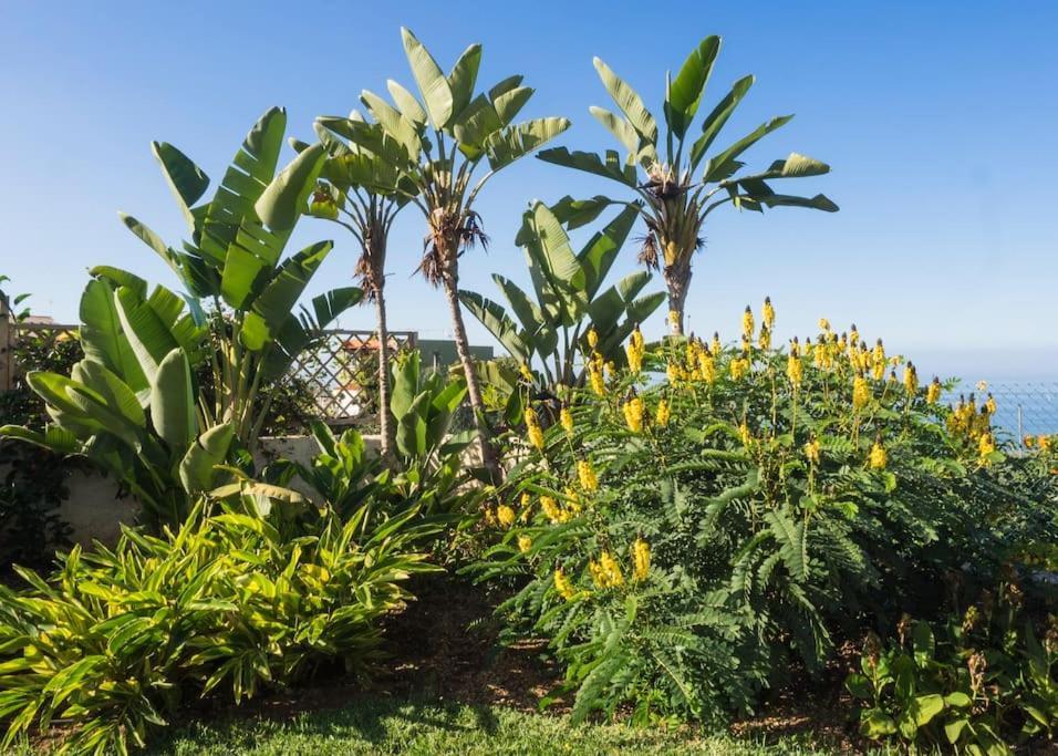 Casa Vina: A Spectacular Away From It All Holiday La Orotava Eksteriør bilde