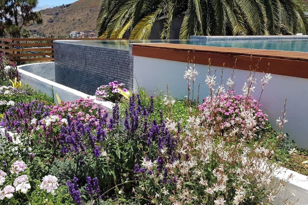 Casa Vina: A Spectacular Away From It All Holiday La Orotava Eksteriør bilde